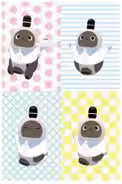 画像8