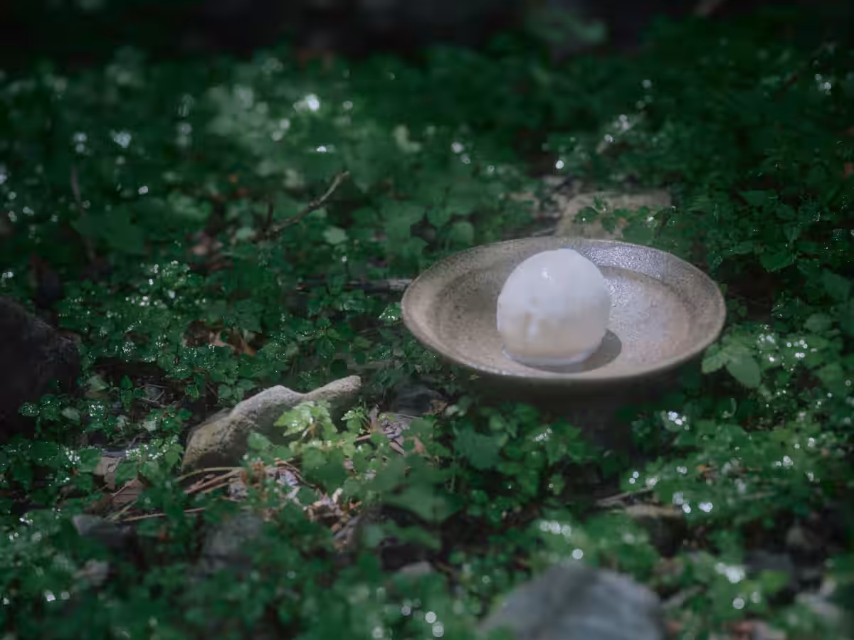 画像14