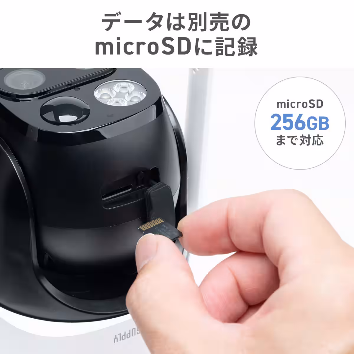 画像11