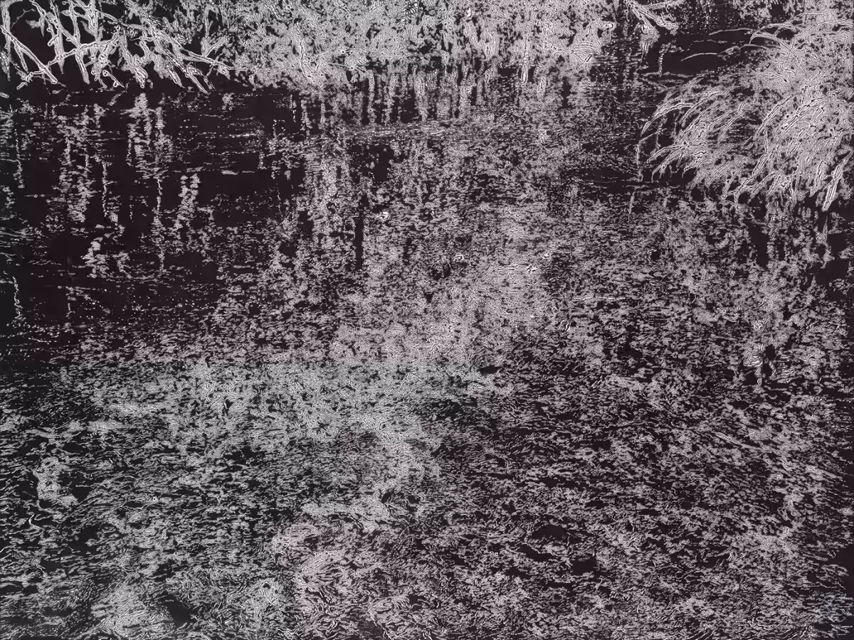 画像16