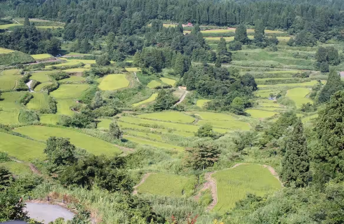 画像7