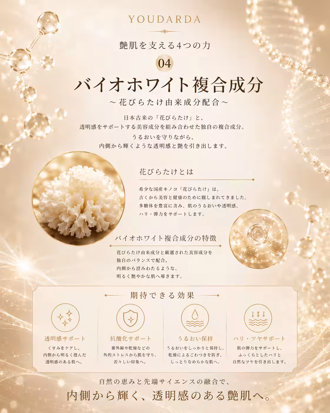 画像14