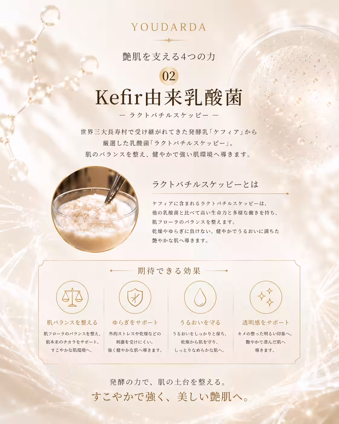 画像12
