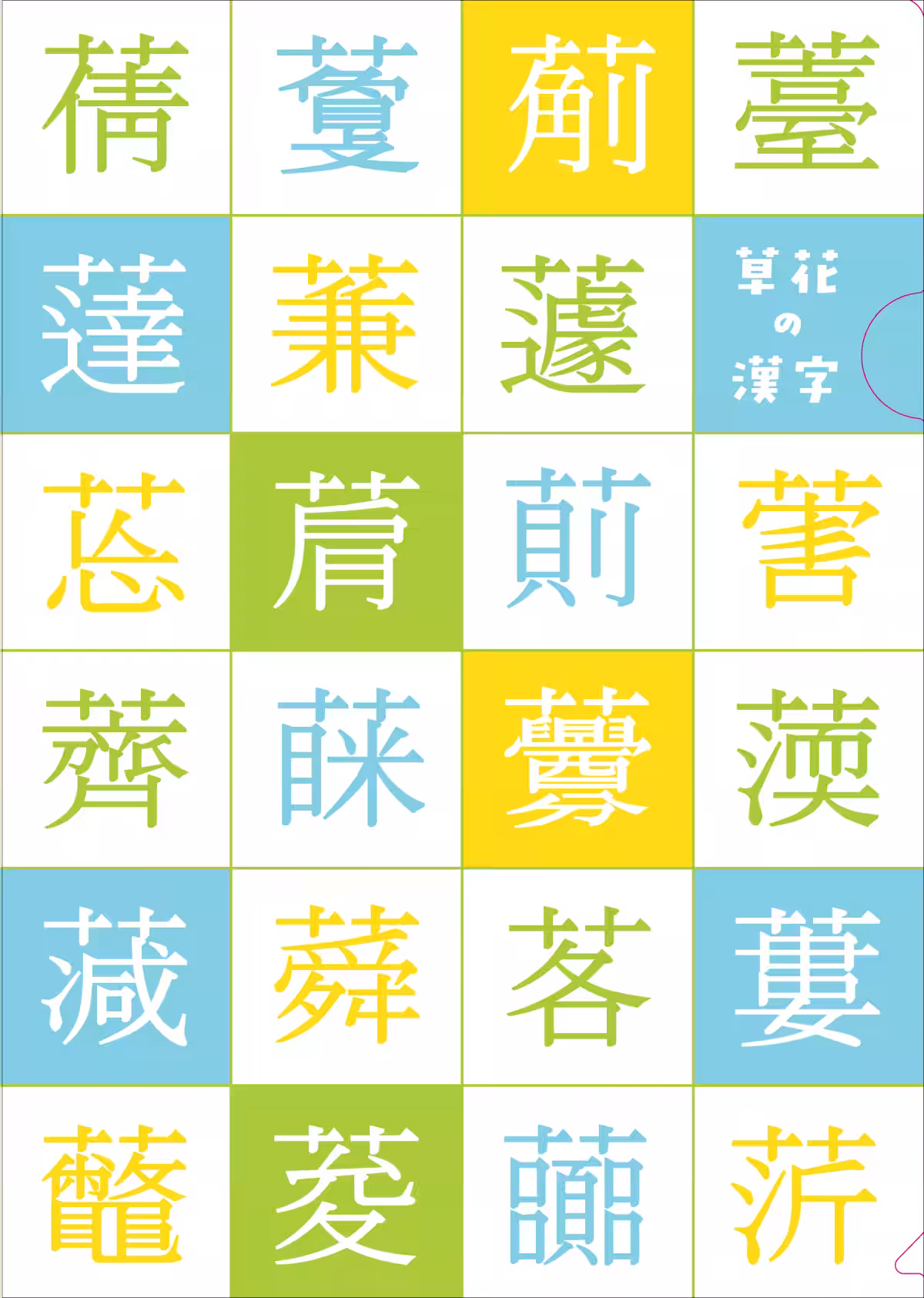 画像7