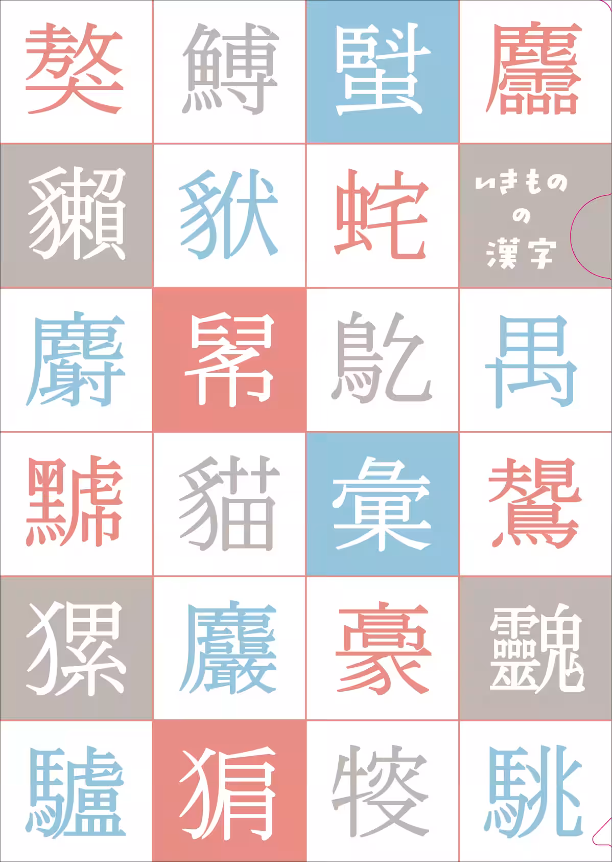 画像9