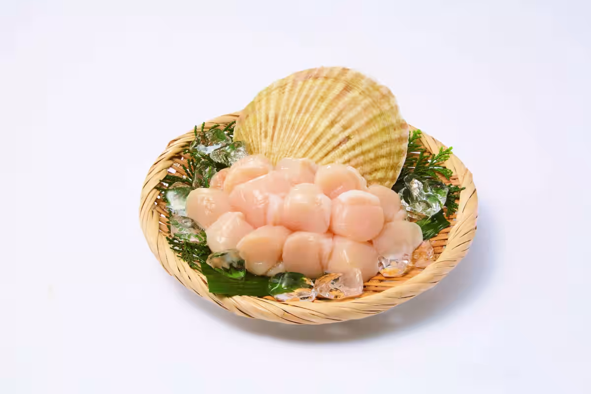 画像4