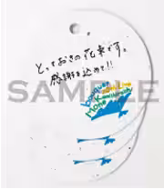 画像15