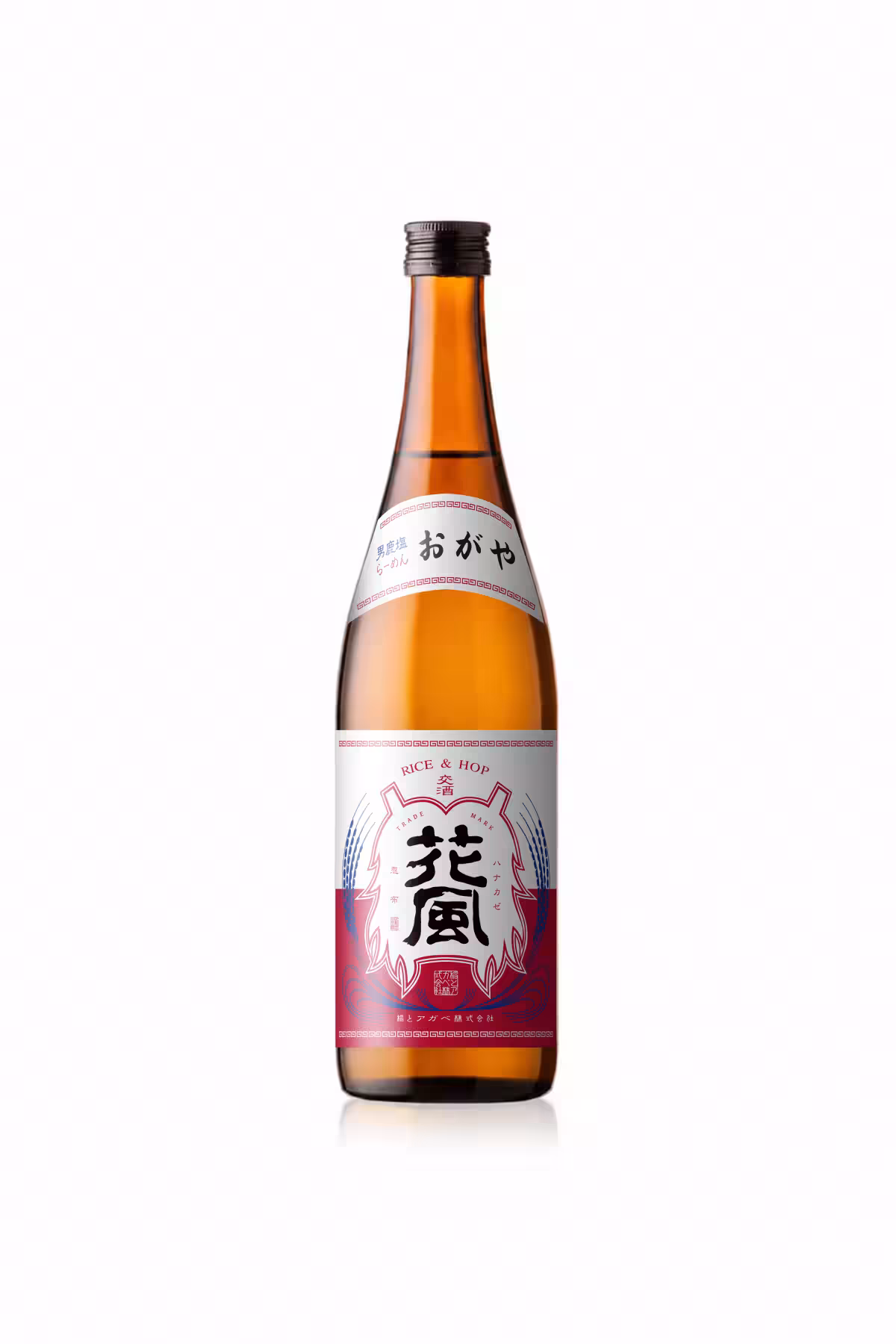 画像9