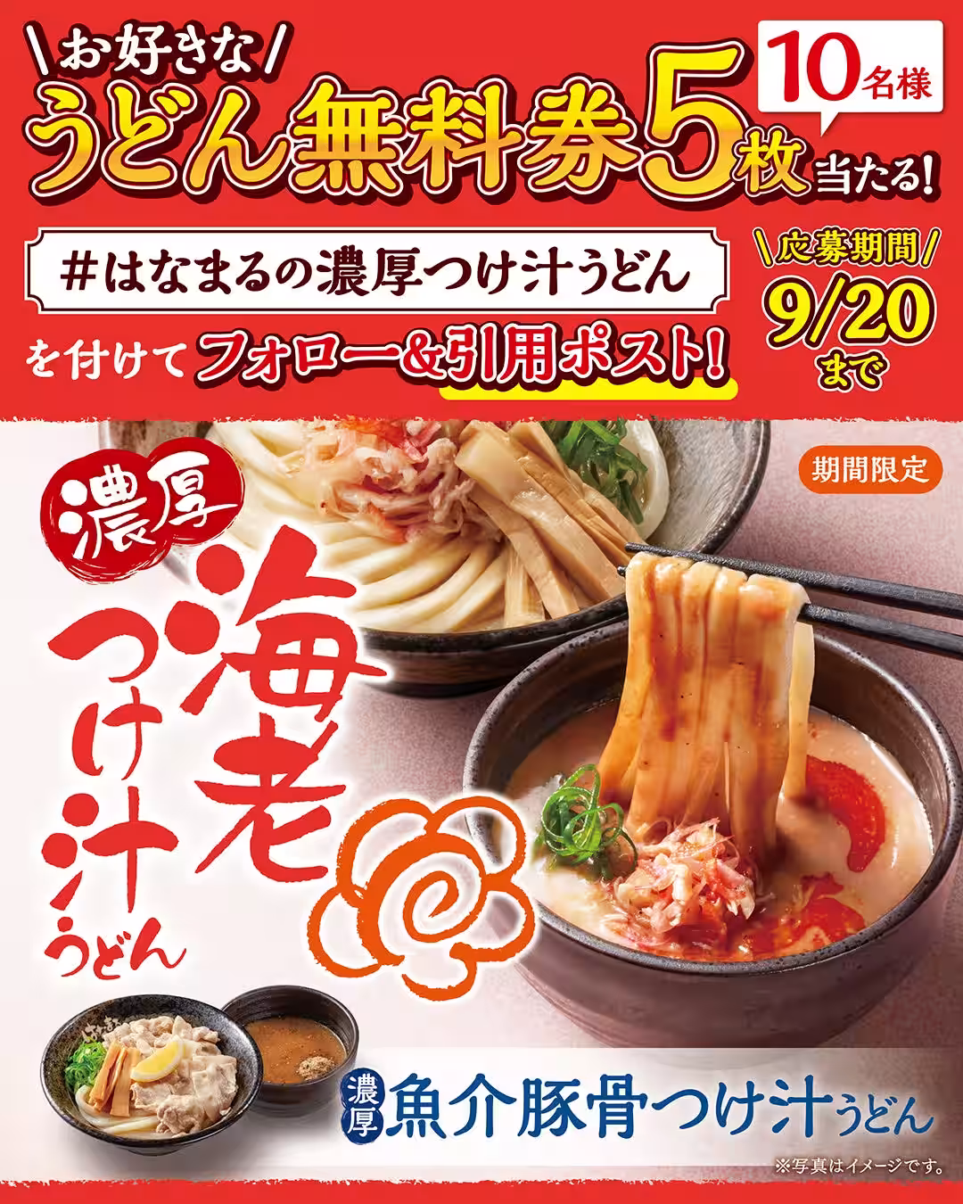 画像7