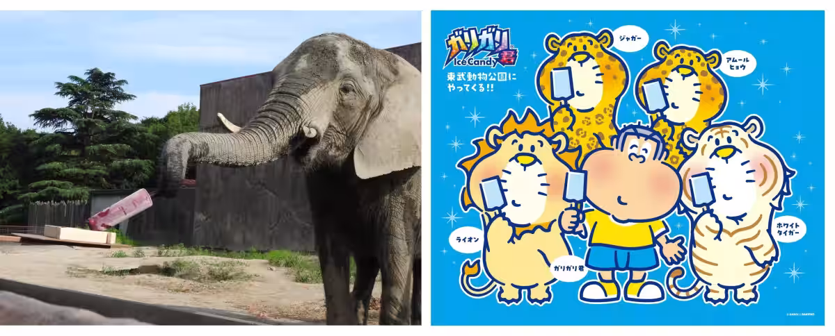 画像6