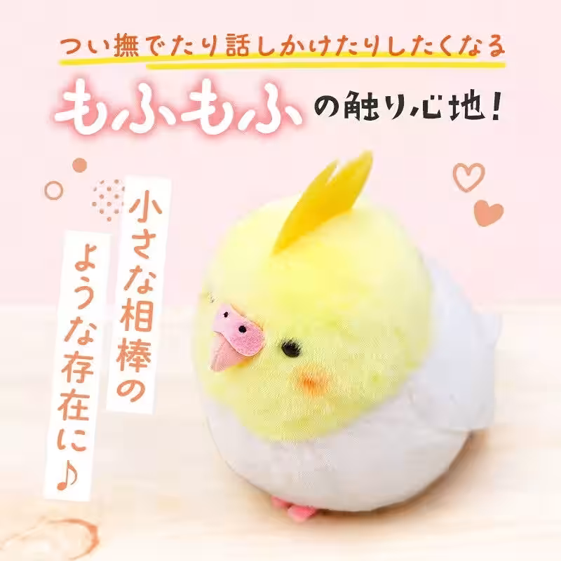 画像7