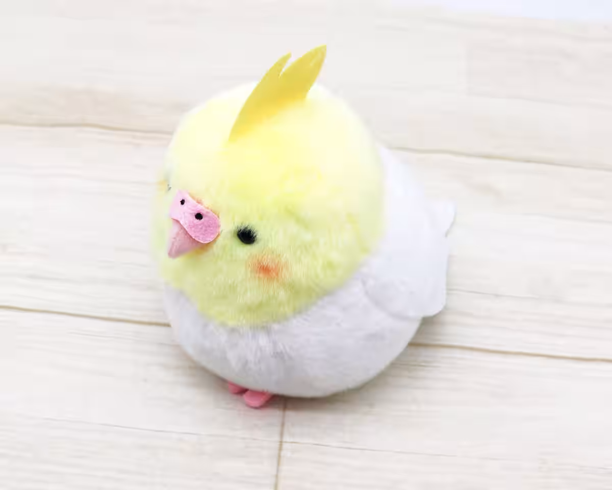 画像12
