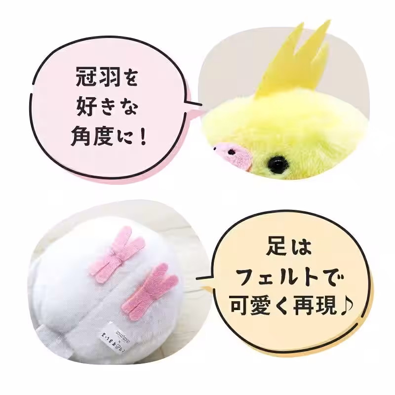 画像6