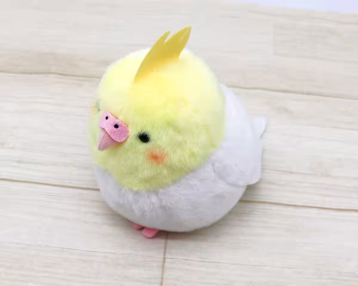 画像9