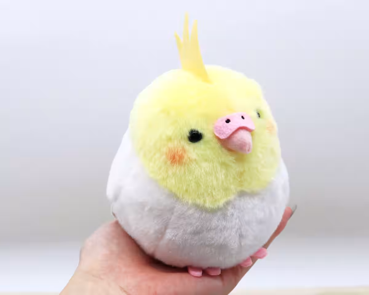 画像8