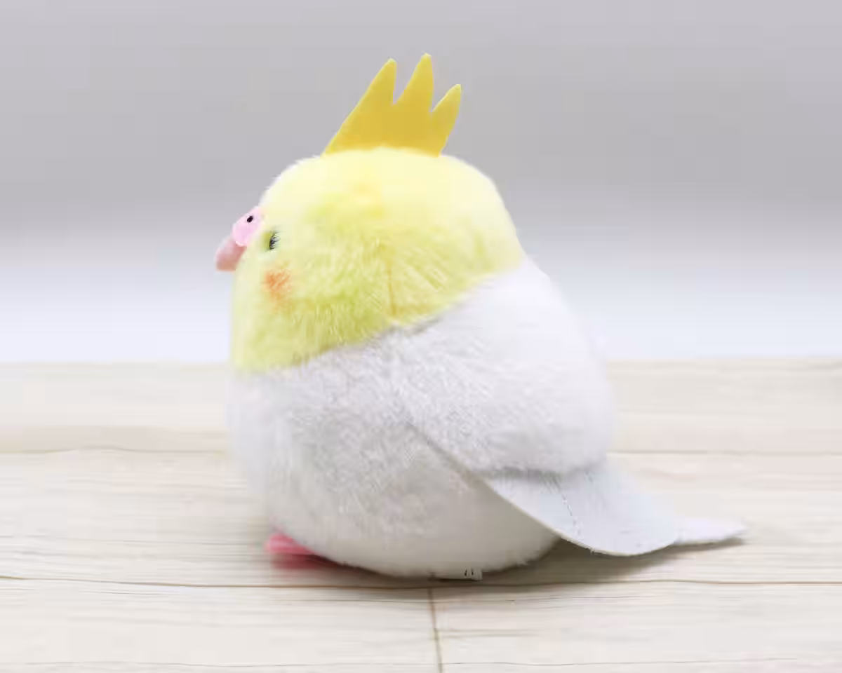 画像10