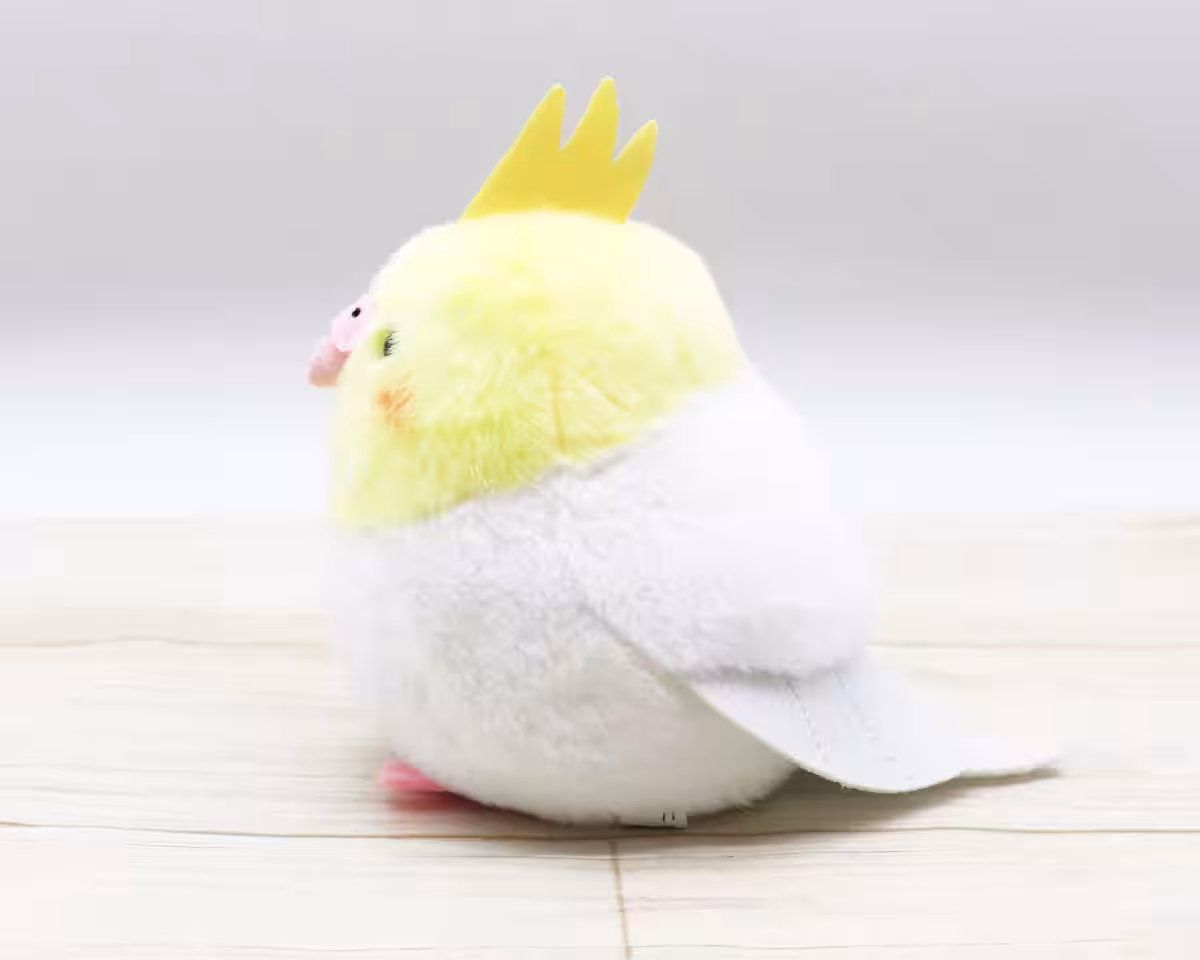 画像13