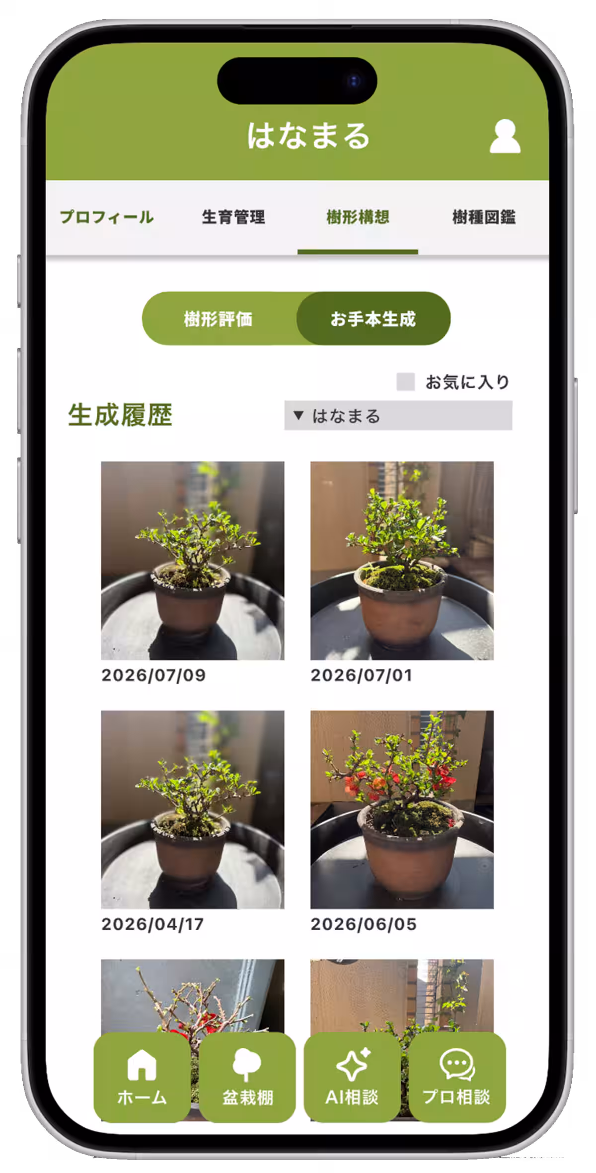 画像11