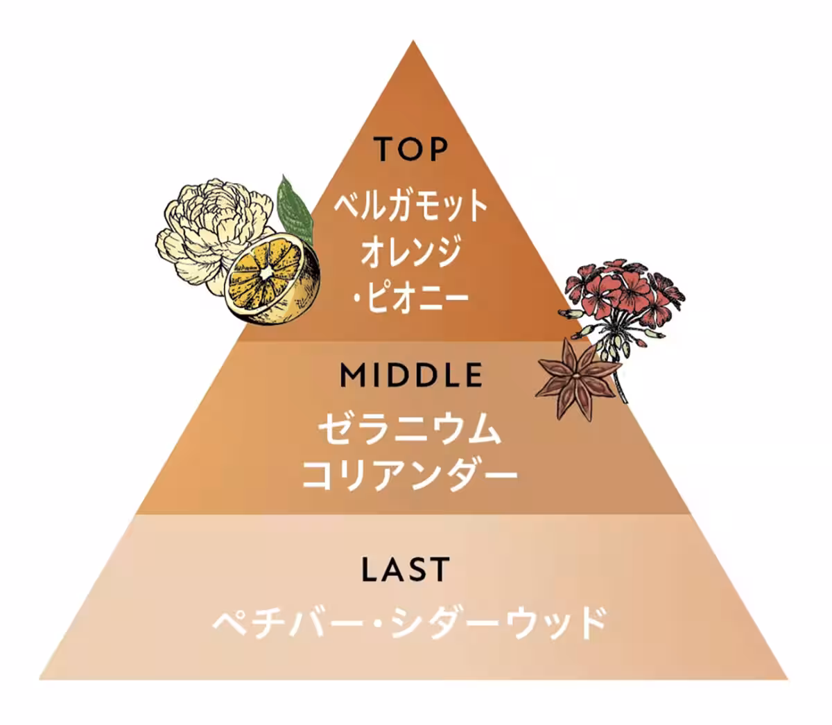画像11
