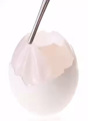 画像17