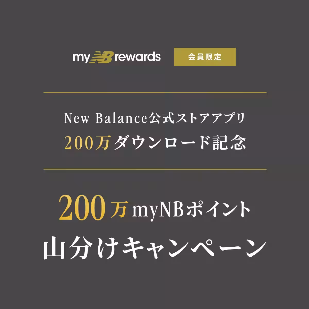 画像17