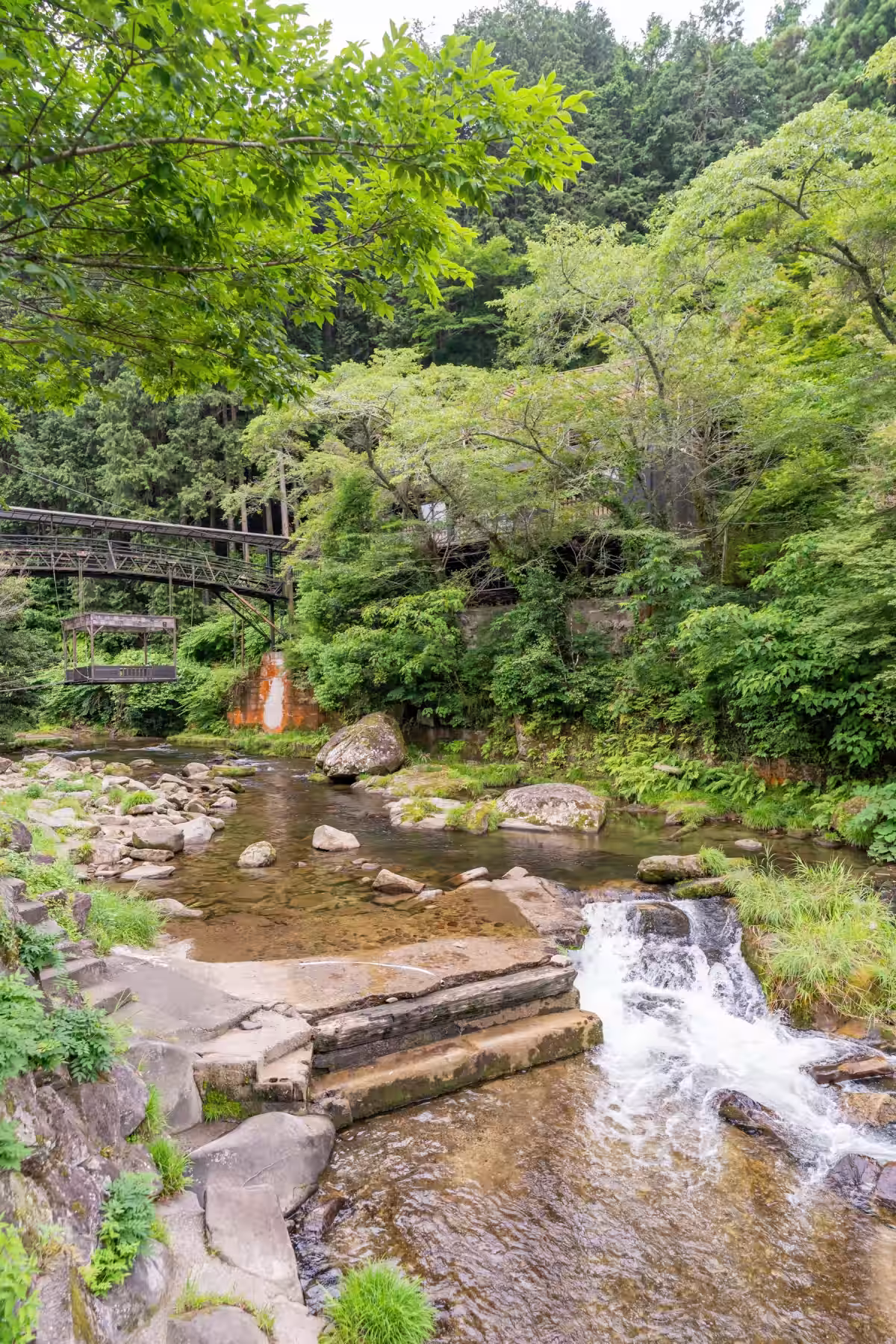 画像15