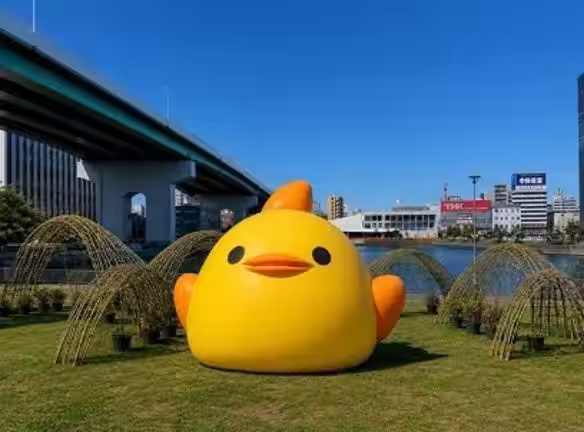 画像7