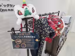 画像9
