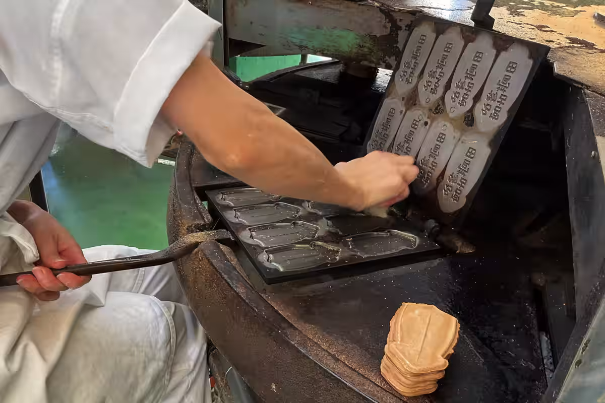 画像4