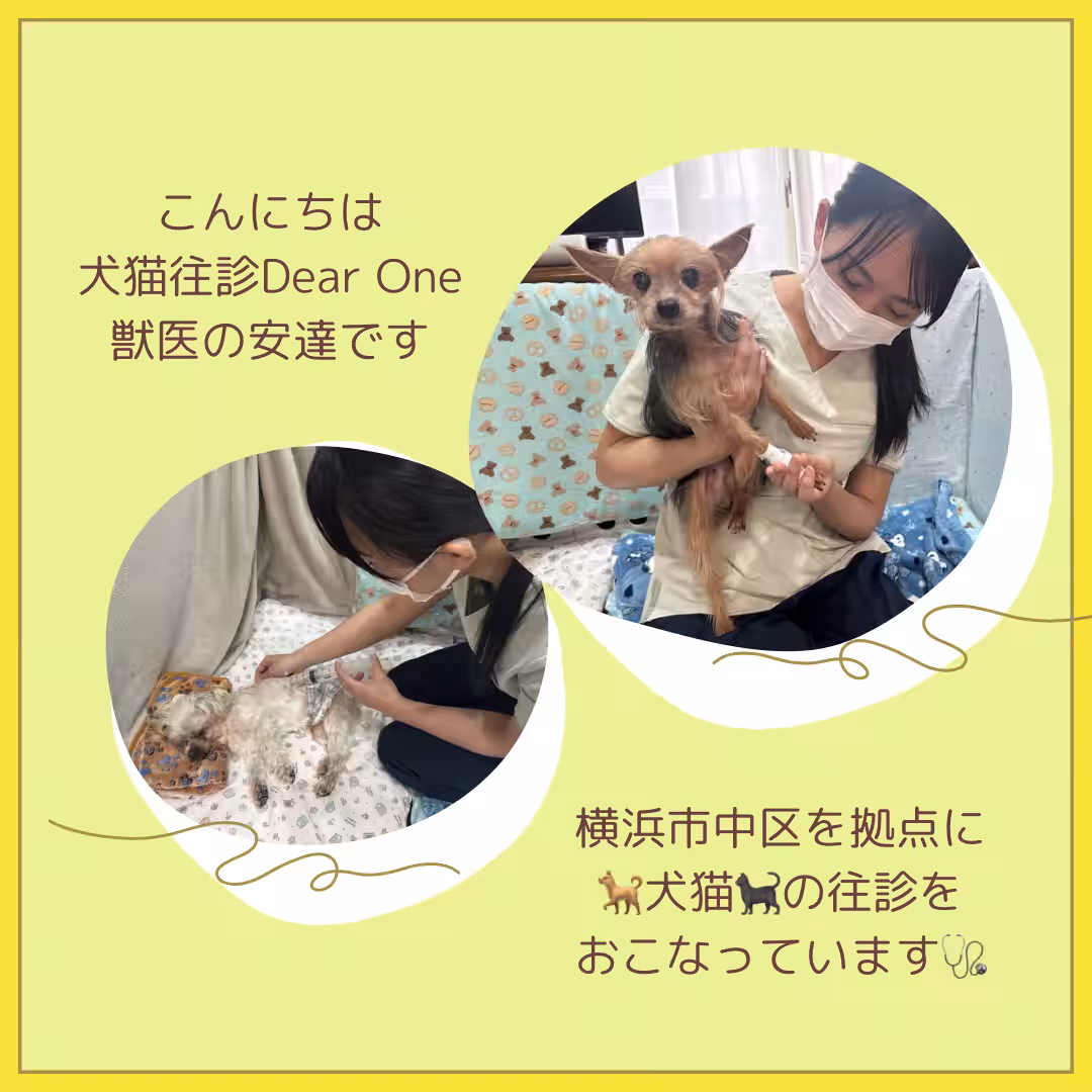 画像23