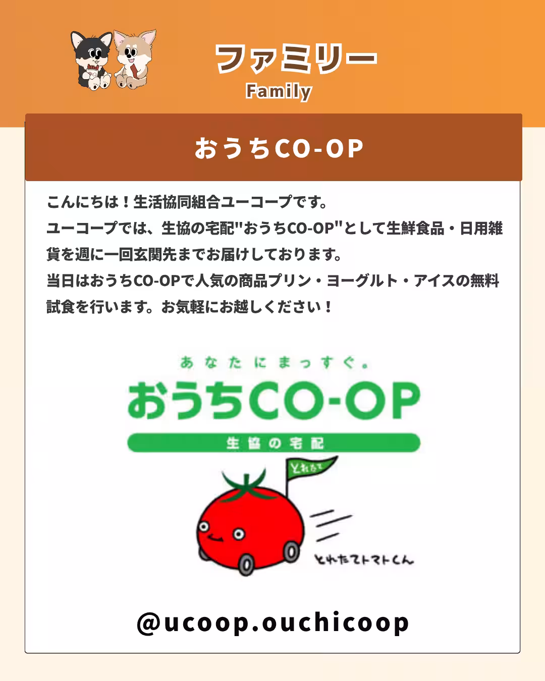 画像12