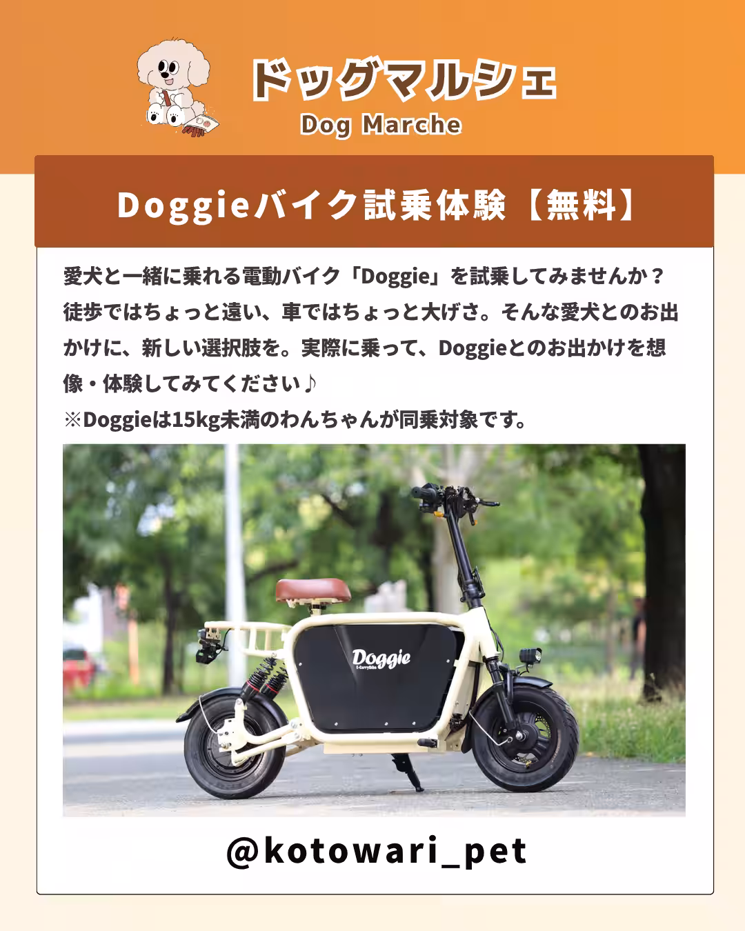 画像21
