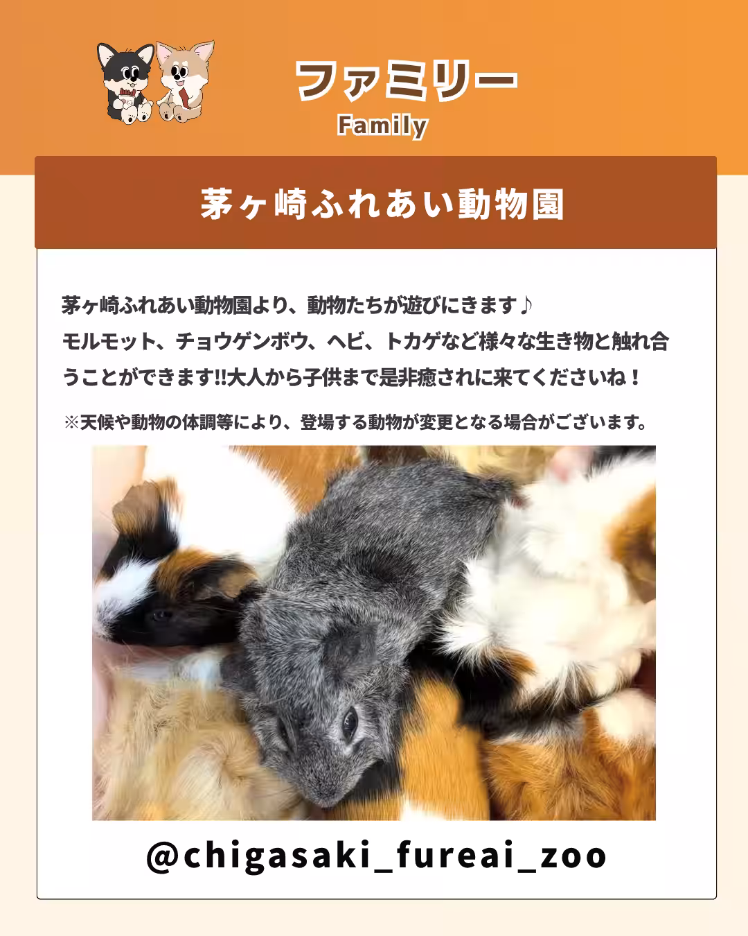 画像13