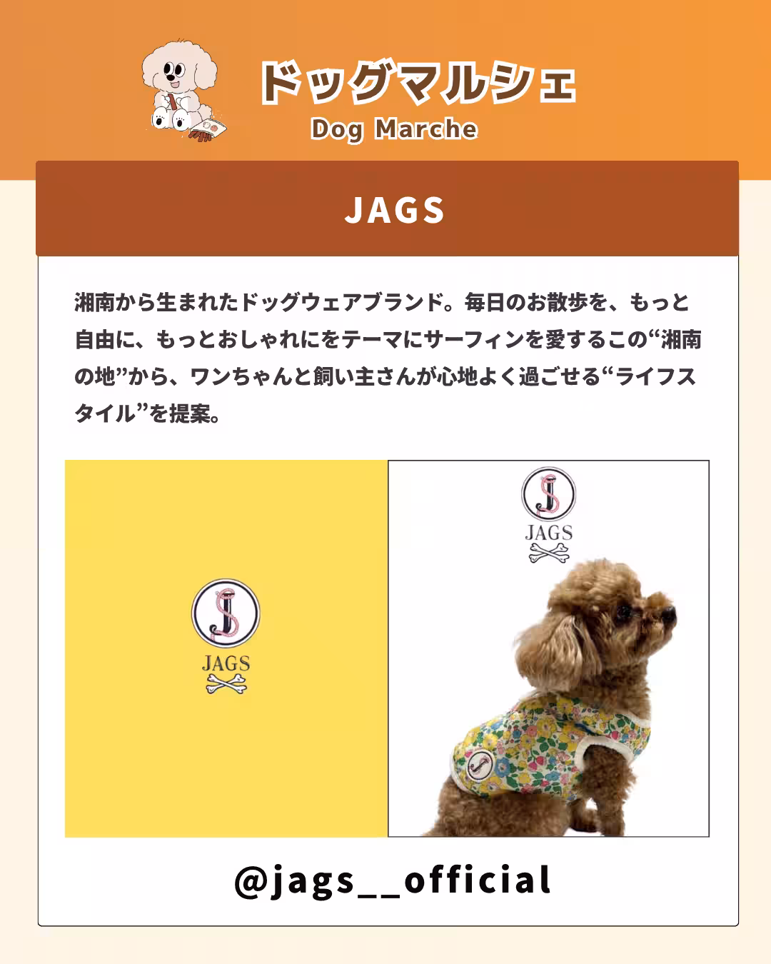 画像19