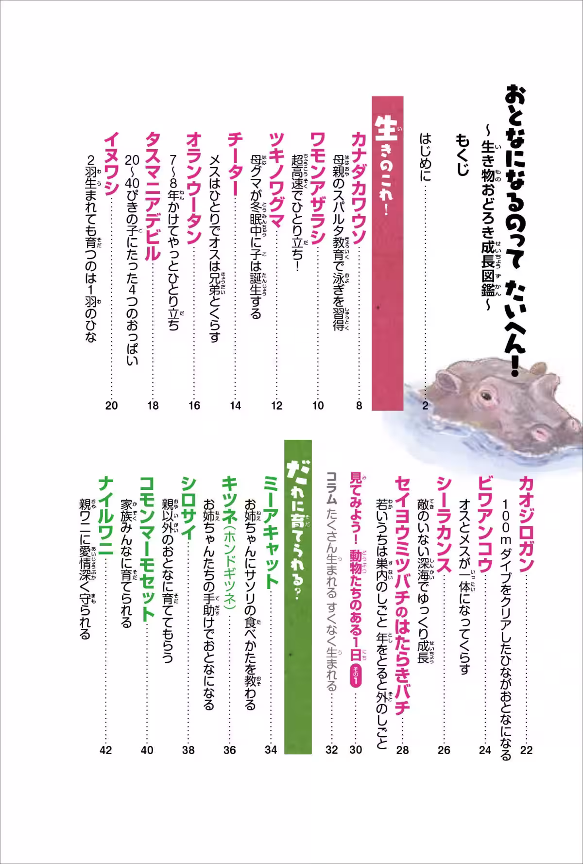 画像5