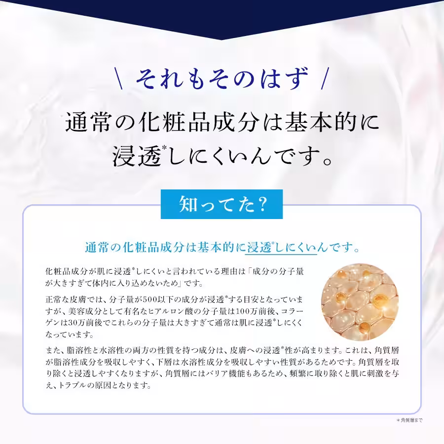 画像14