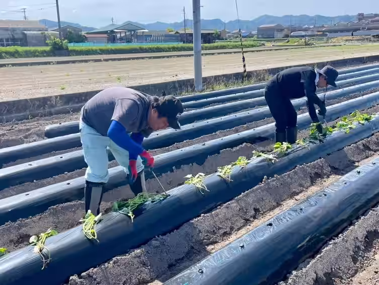 画像6