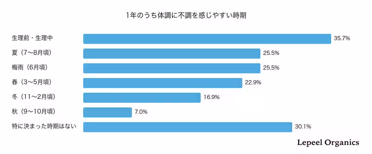 画像13