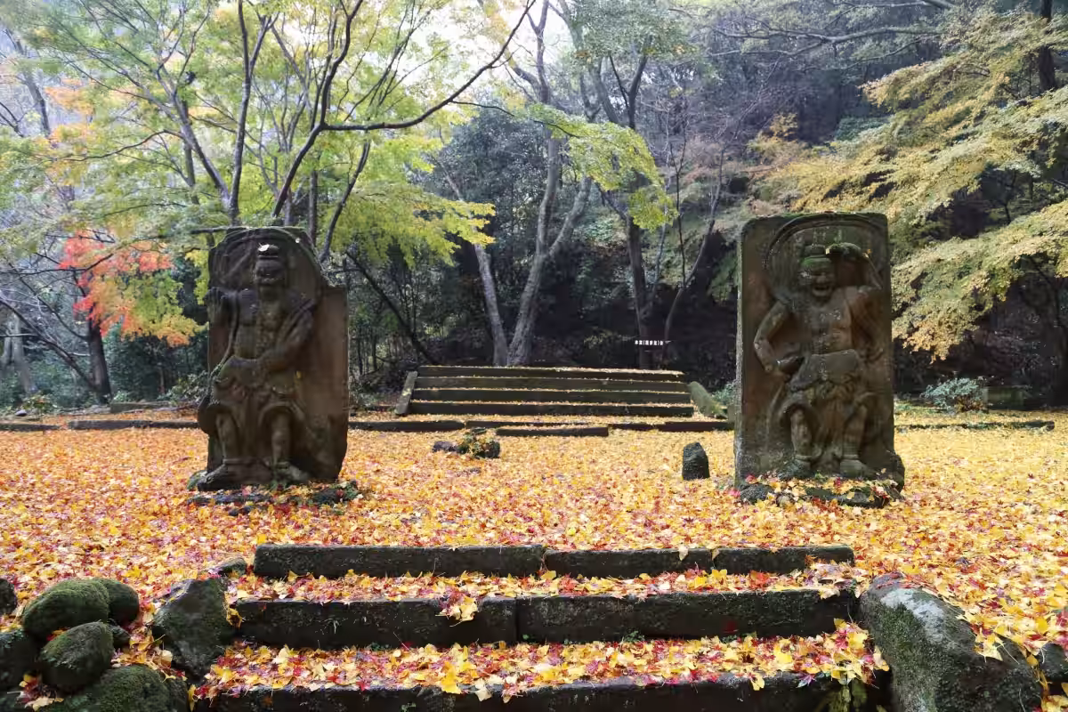 画像7