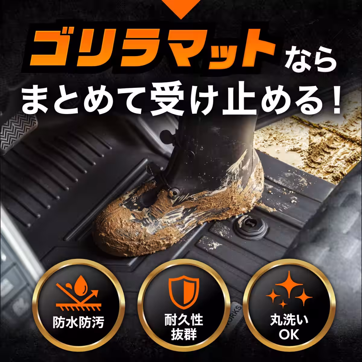 画像5
