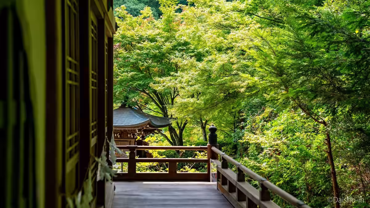 画像8