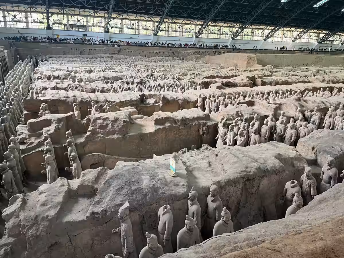 画像8
