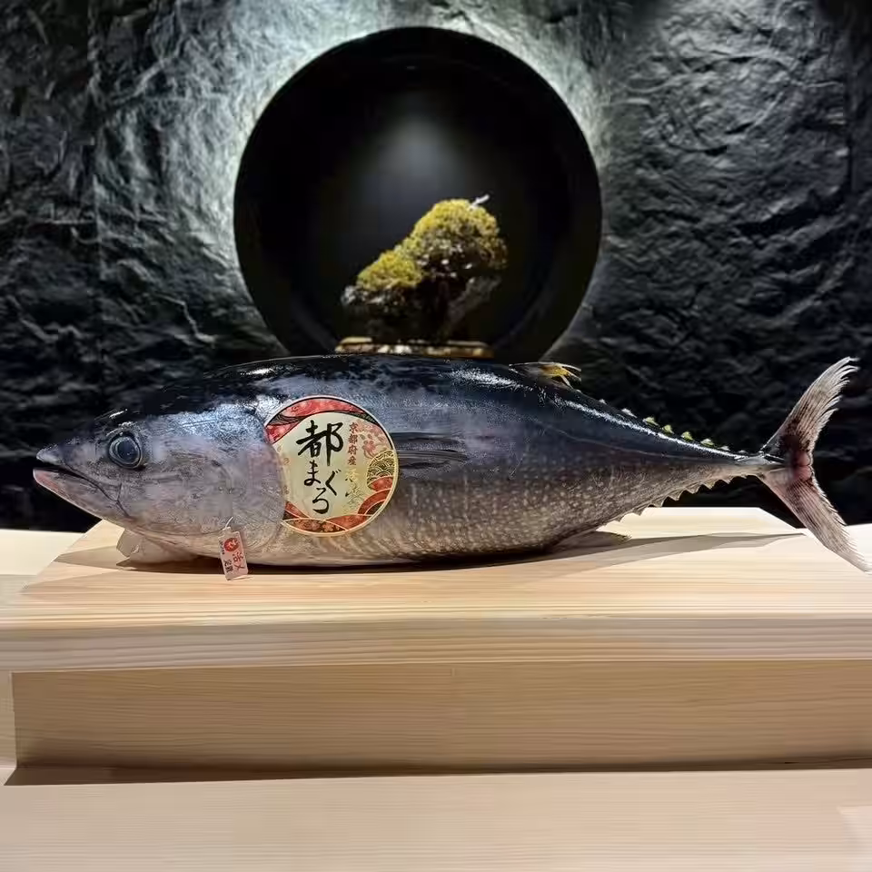 画像9