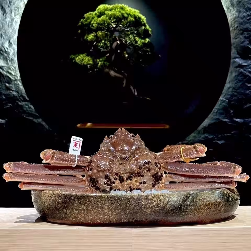 画像6
