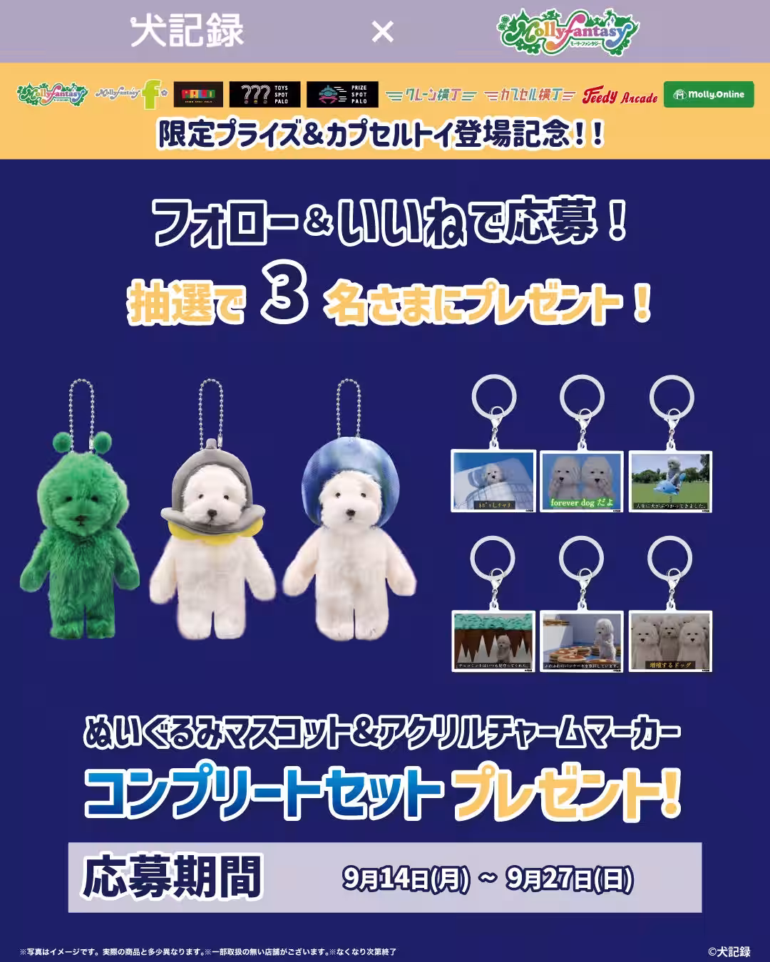 画像5