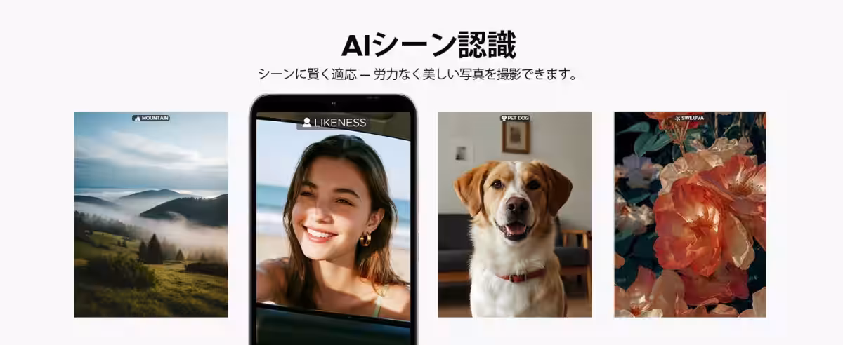 画像14