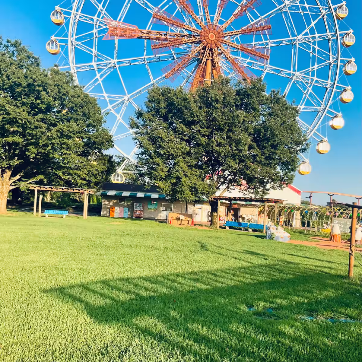 画像15