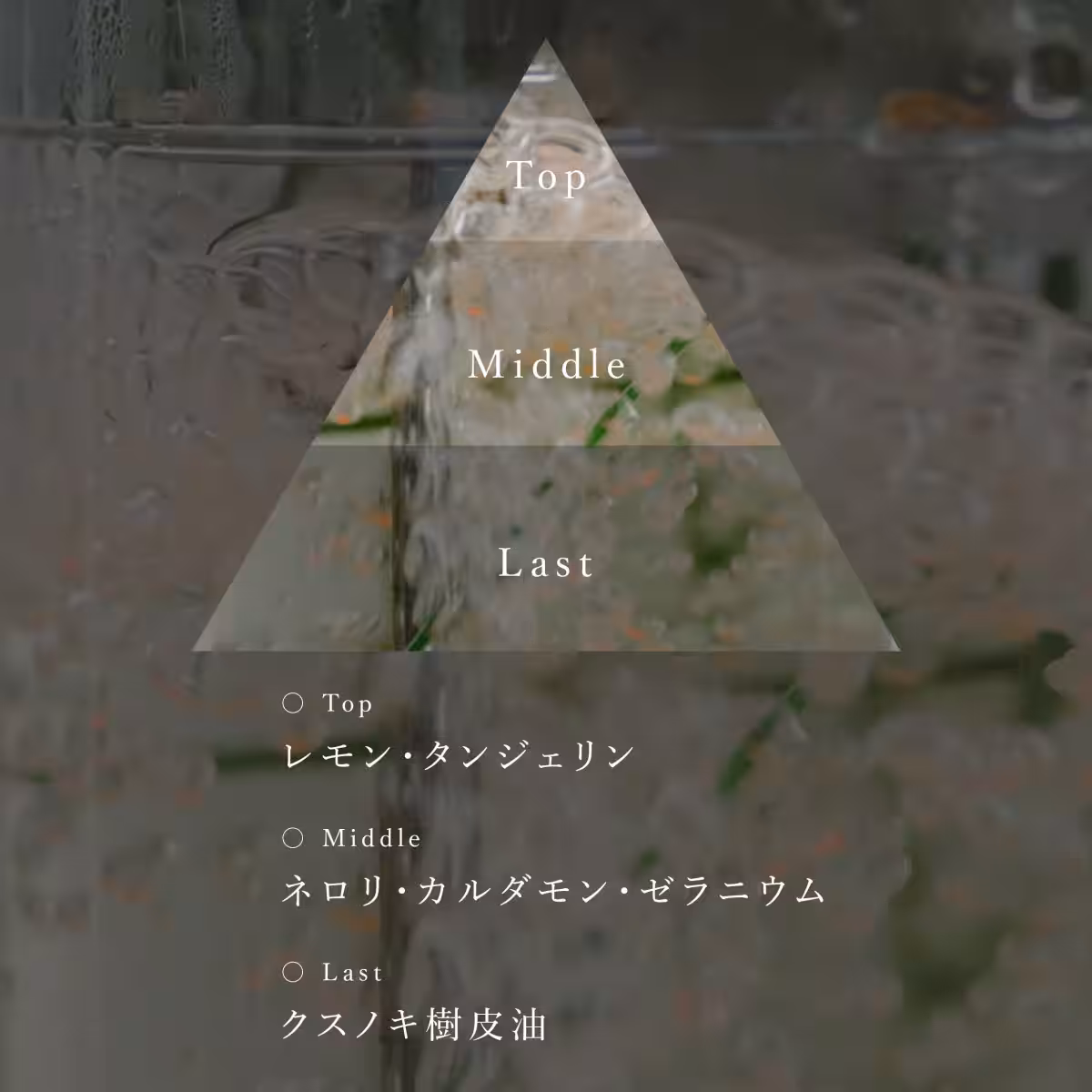 画像16