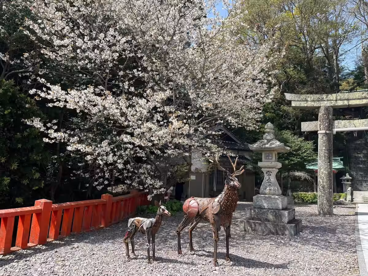 画像10