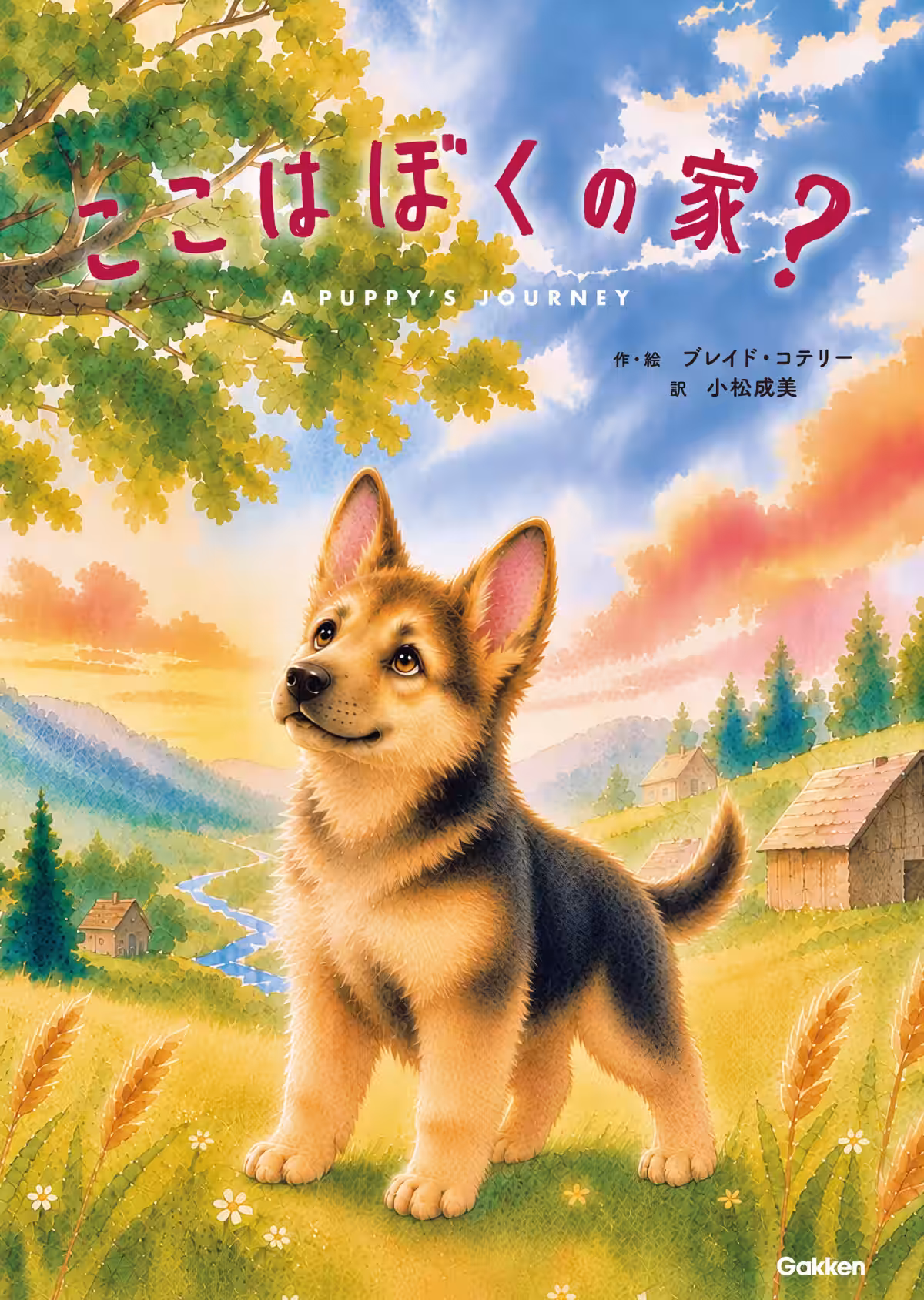 画像2